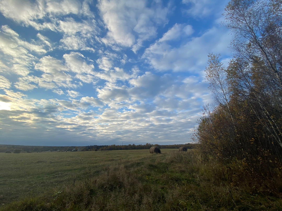 Ugra National Park-Kaluga Oblast必去景点