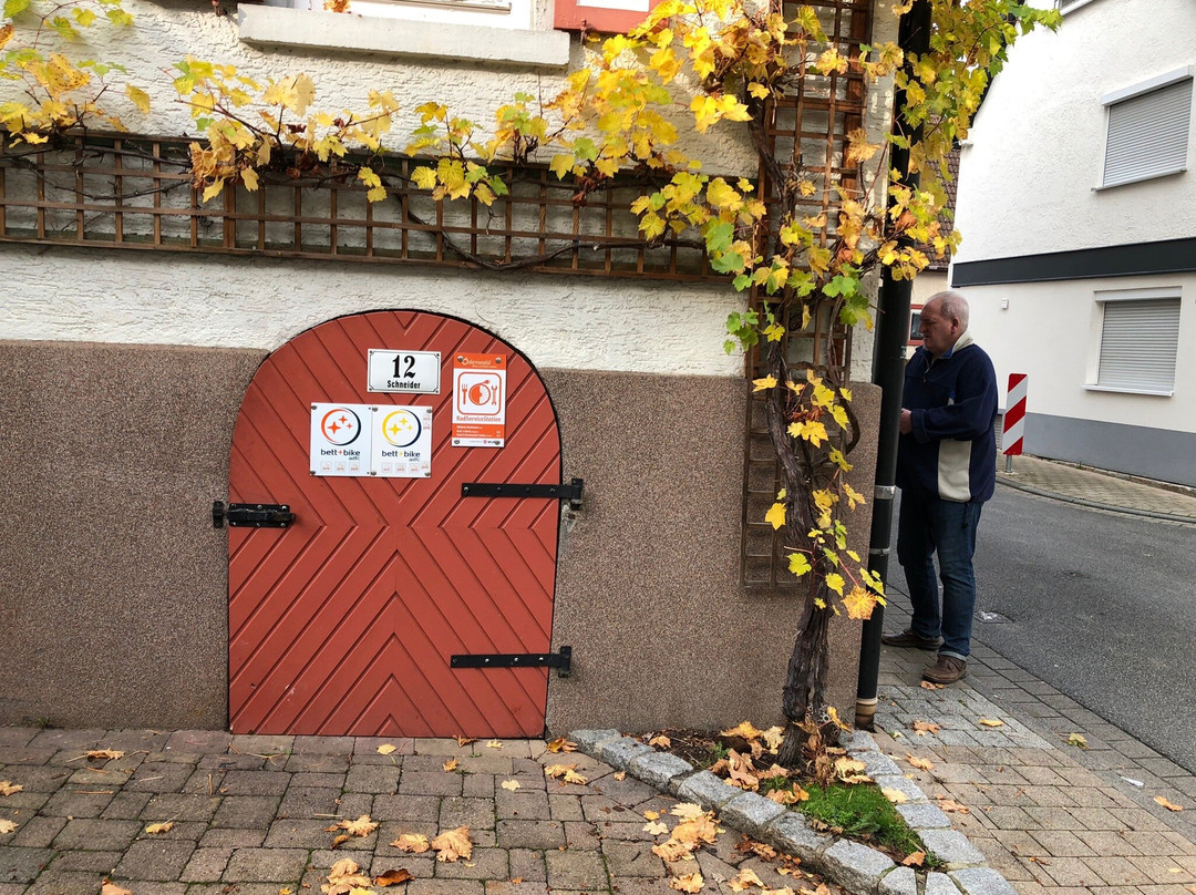 特瑞德帕德温特斯豪斯酒店主图