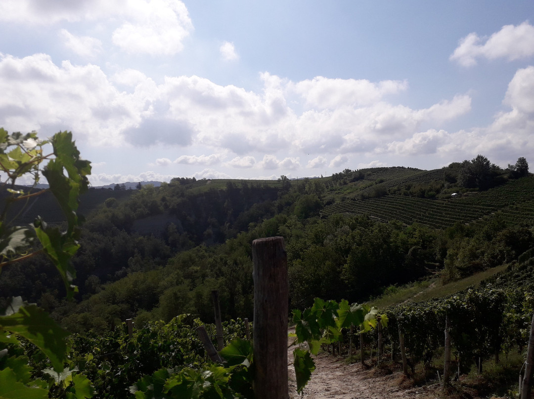 Strada Romantica delle Langhe e del Roero景点图片