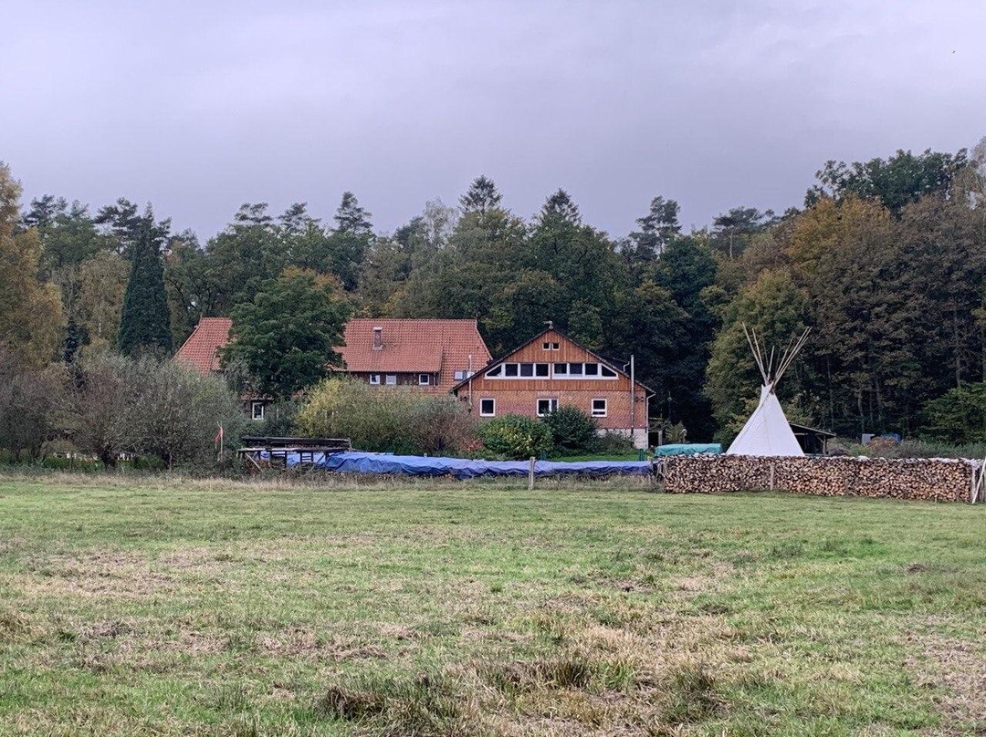 Gohrde旅游攻略图片