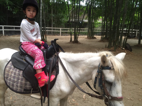 Montana Horse Riding-清迈必去景点