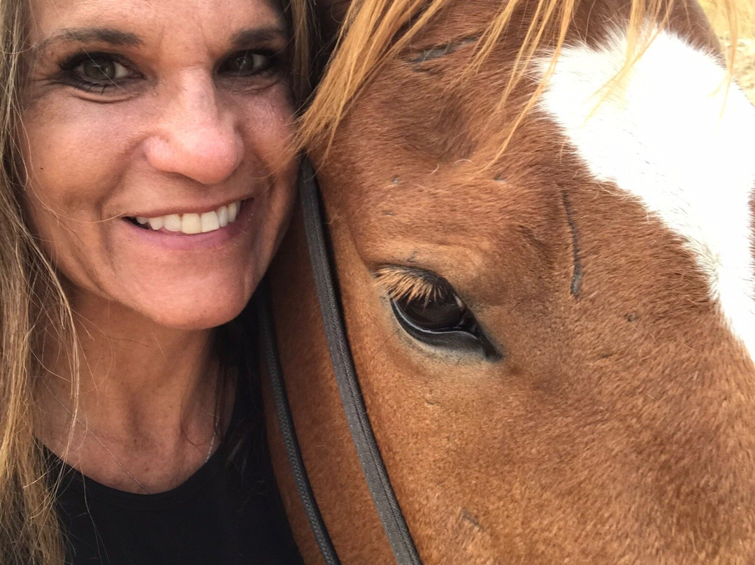 Jake's Horses-大斯凯必去景点