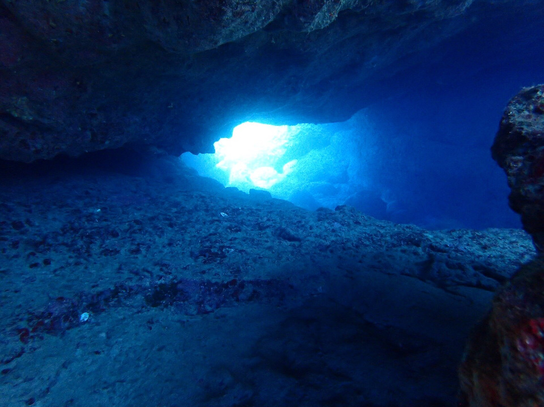 Abyss Dive Center-帕福斯必去景点