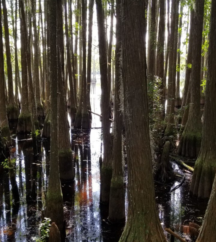 George L. Smith Park-Twin City必去景点