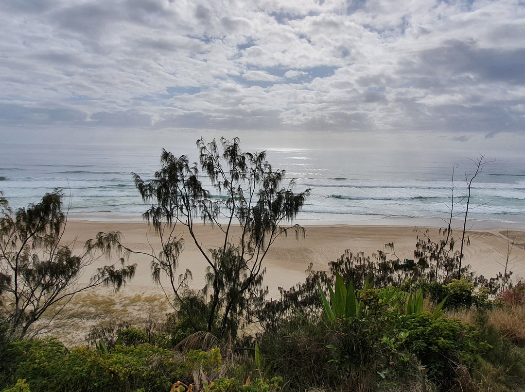 Lores Bonney Lookout-Miami必去景点