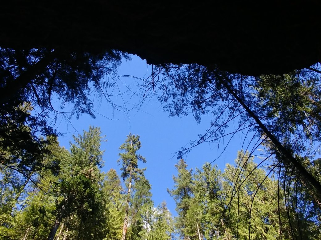 Margaret Falls-Tappen必去景点