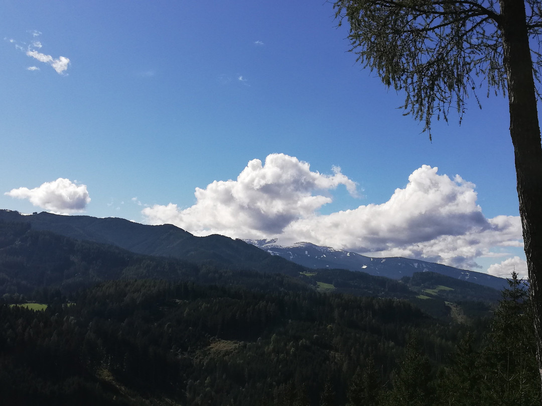 Wipfelwanderweg Rachau-Sankt Margarethen bei Knittelfeld必去景点