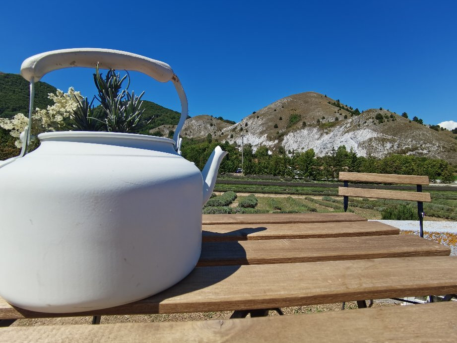 Green House B&B主图