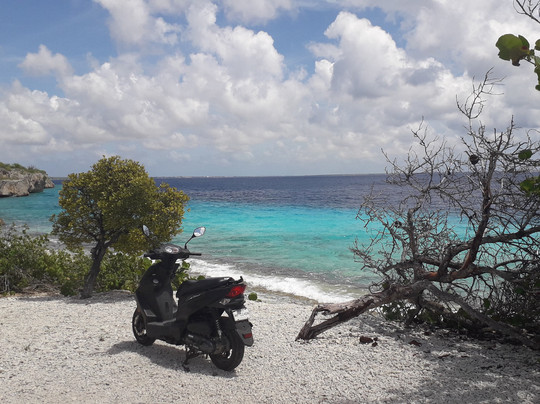 Smiley Rentals-Kralendijk必去景点