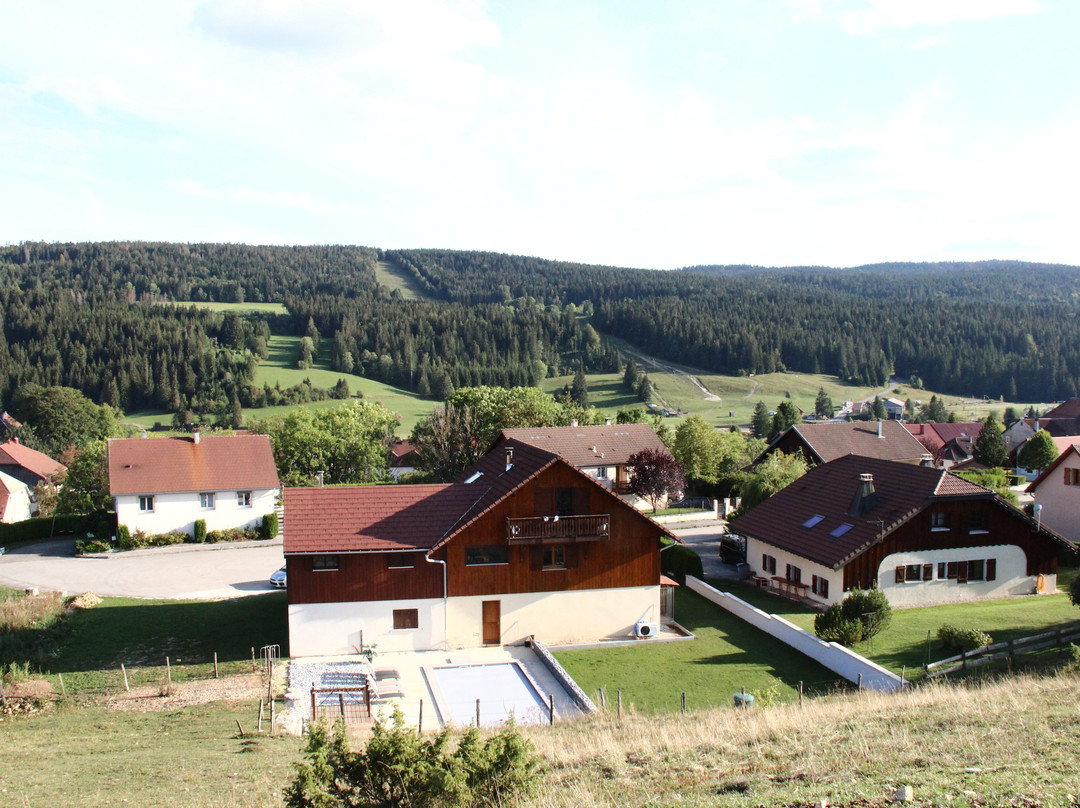 Hotel Les Gentianes主图