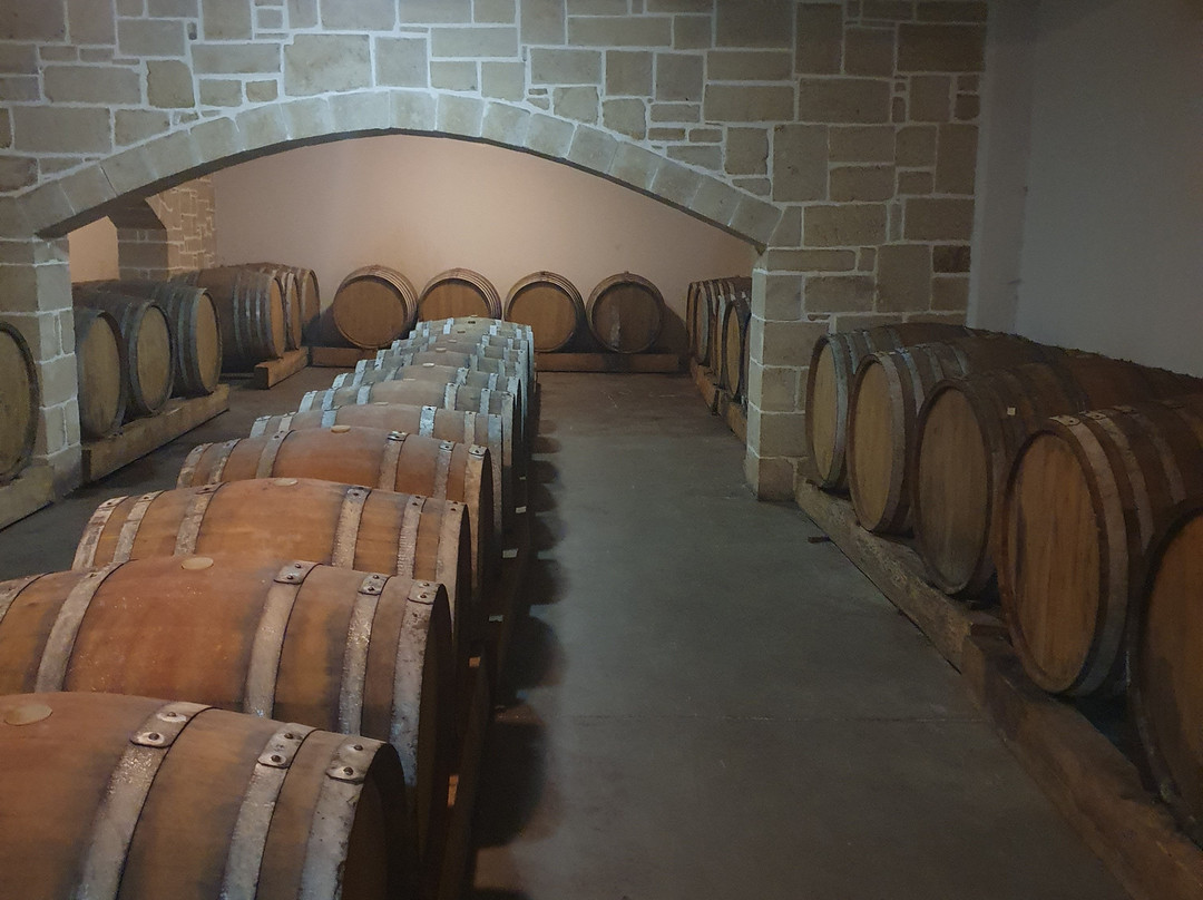 Pnevmatikakis Winery景点图片