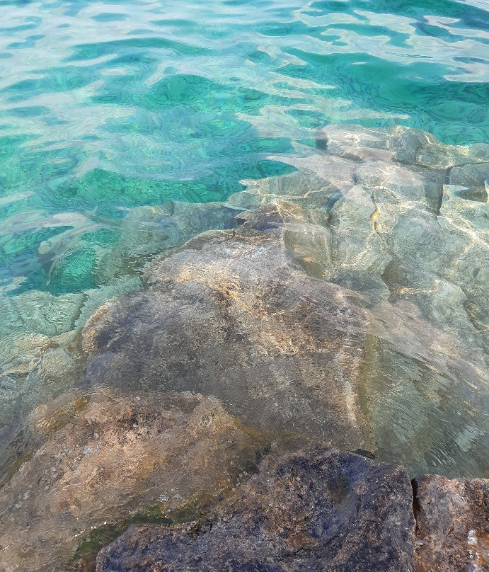 Flowerpot Island-托伯莫里必去景点