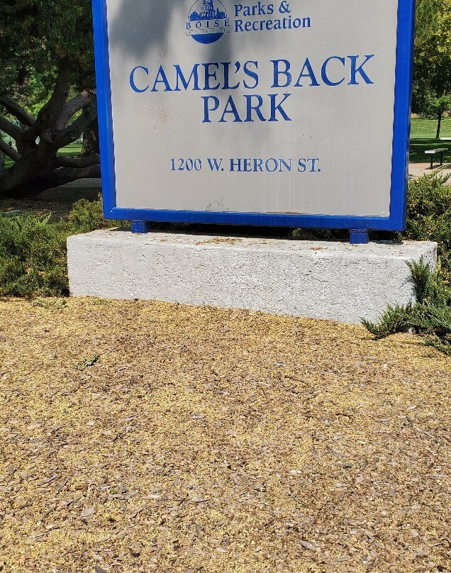 Camel's Back Park-博伊西必去景点