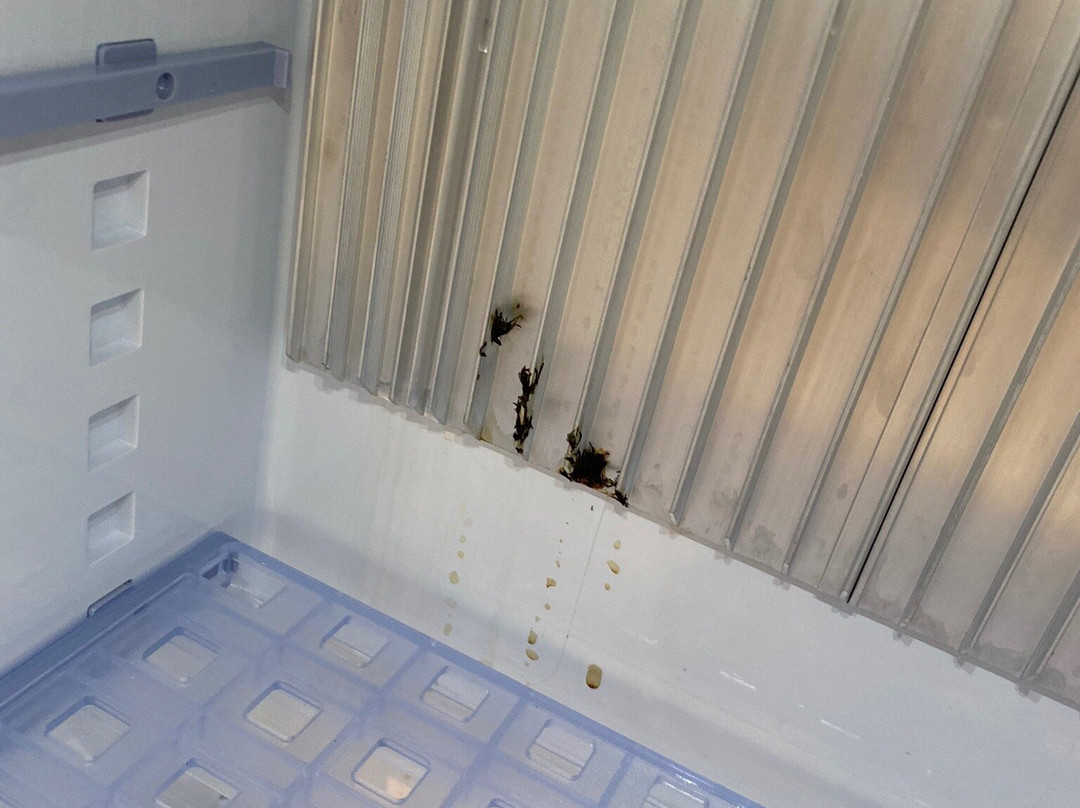 qubixx - StadtMitteHotel主图