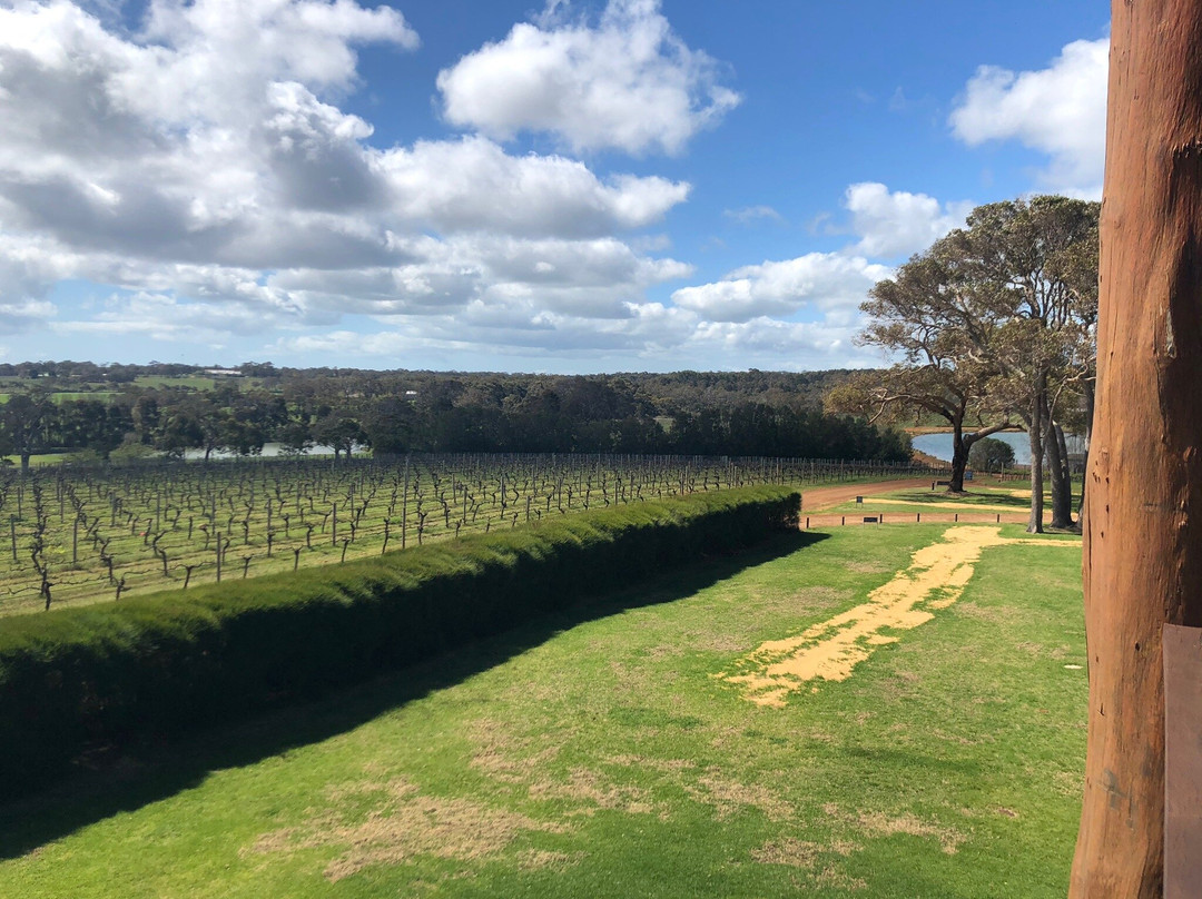 Cherubino Margaret River Cellar Door景点图片