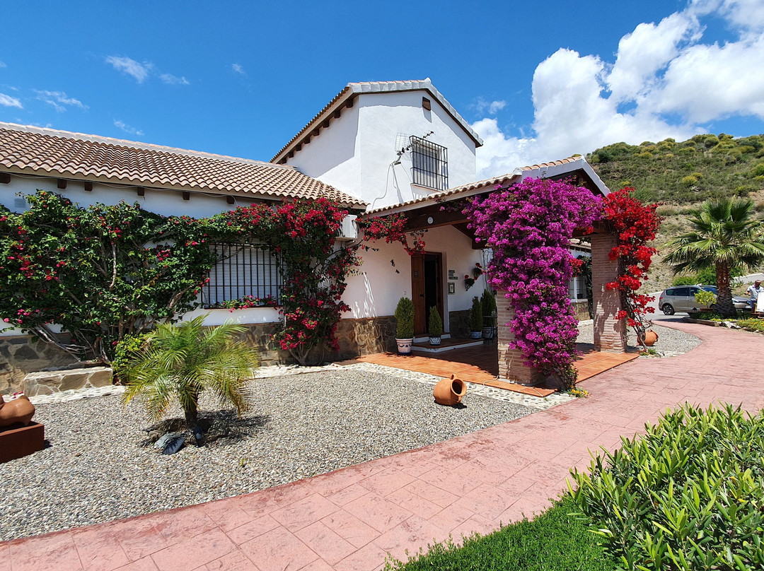 Alhaurin el Grande酒店住宿-Bed & Breakfast Casa don Carlos