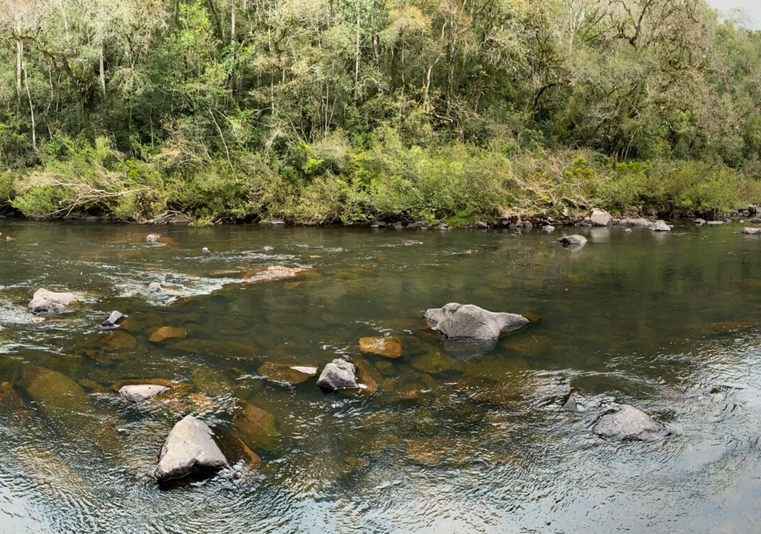 Posada Puerto Paraiso主图
