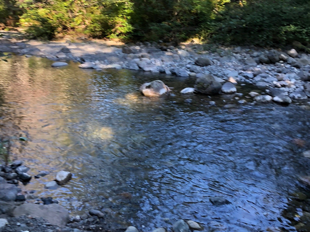 Rosewall Creek Provincial Park景点图片
