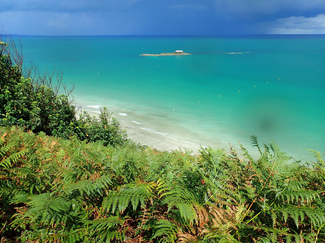 Pointe du Roselier景点图片