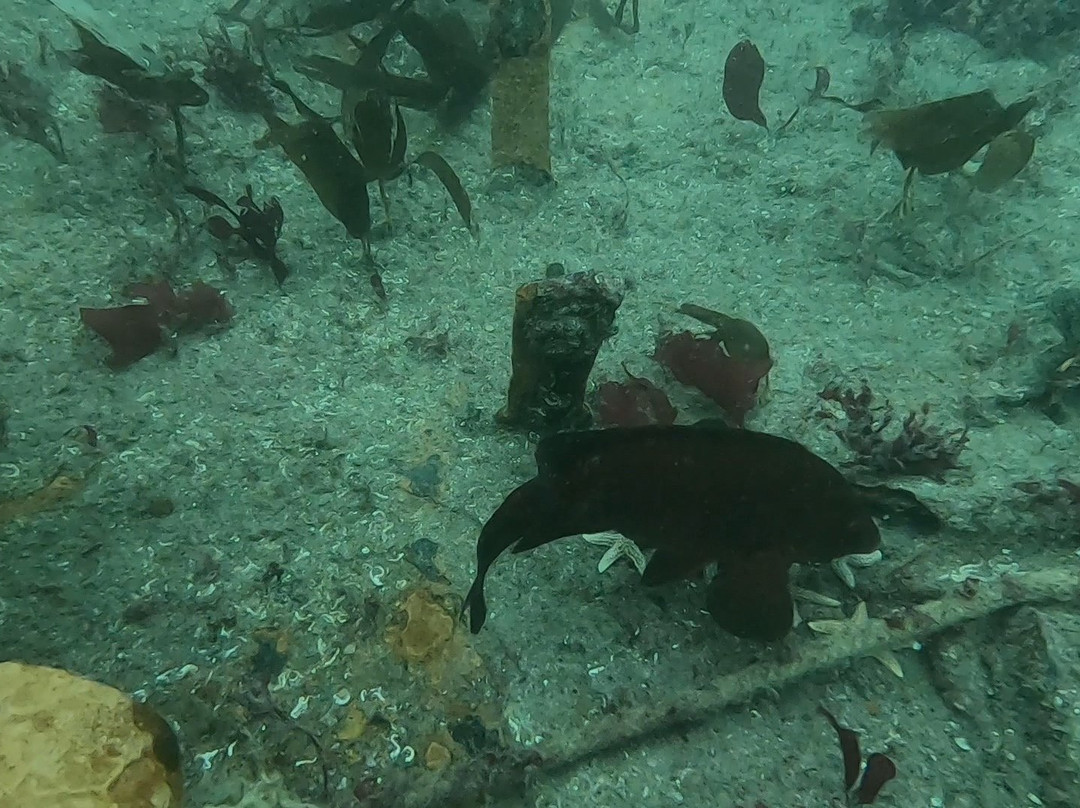 In Deep Dive Centre-普利茅斯必去景点