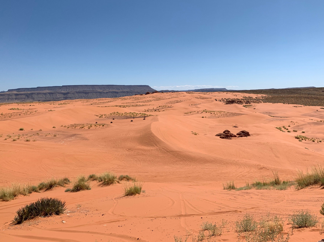 Coral Sand Adventures-哈里肯必去景点