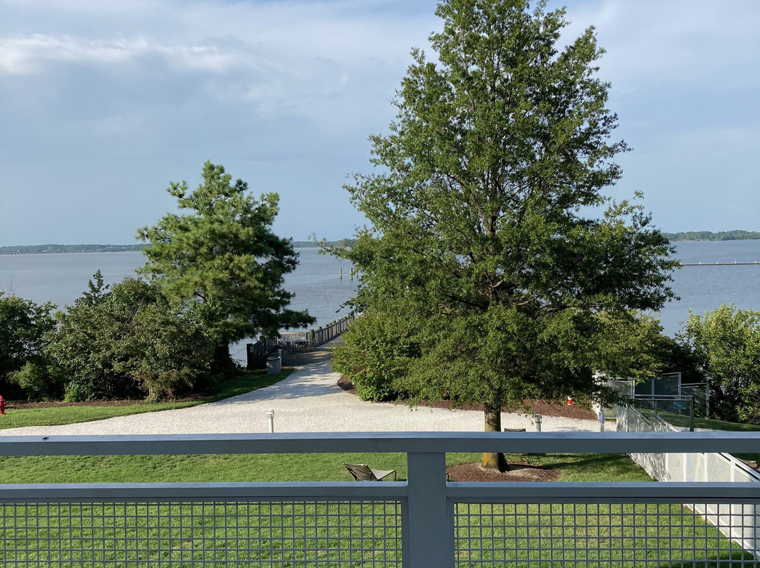 Hyatt Regency Chesapeake Bay Golf Resort, Spa & Marina主图