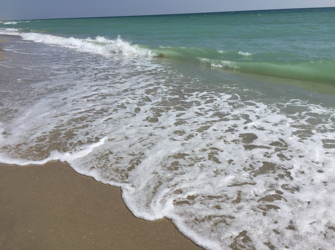 Natsional'nyy Prirodnyy Park Tuzlovskiye Limany-Tatarbunary必去景点