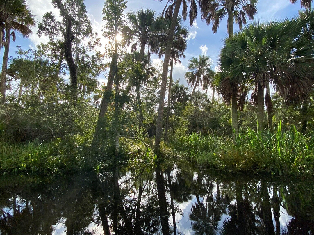 Apalachicola Airboat Adventures景点图片