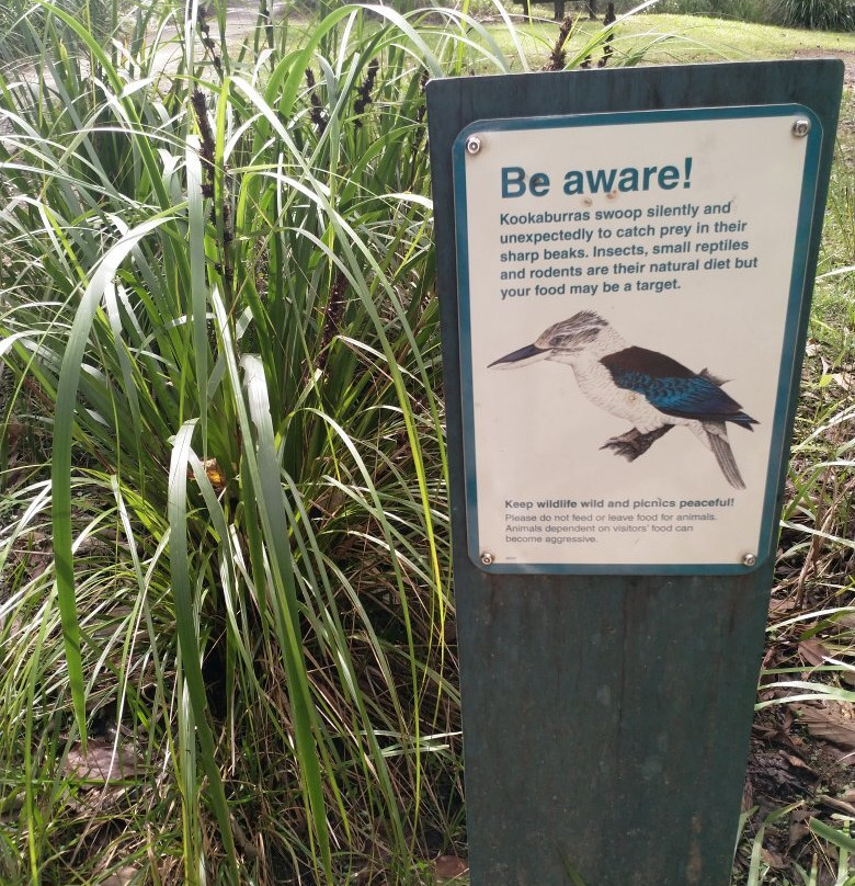 Finch Hatton Gorge-Finch Hatton必去景点