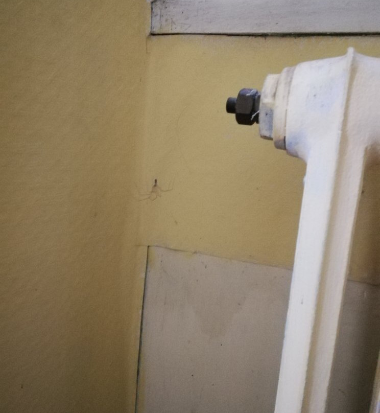 Domaine de Balous主图