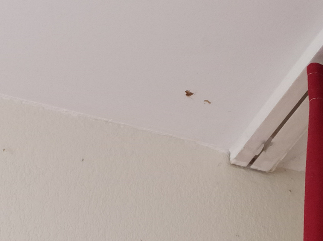 Pierre & Vacances Residence Les Terrasses d'Arcangues主图