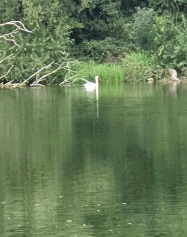 Sevenoaks Wildlife Reserve景点图片