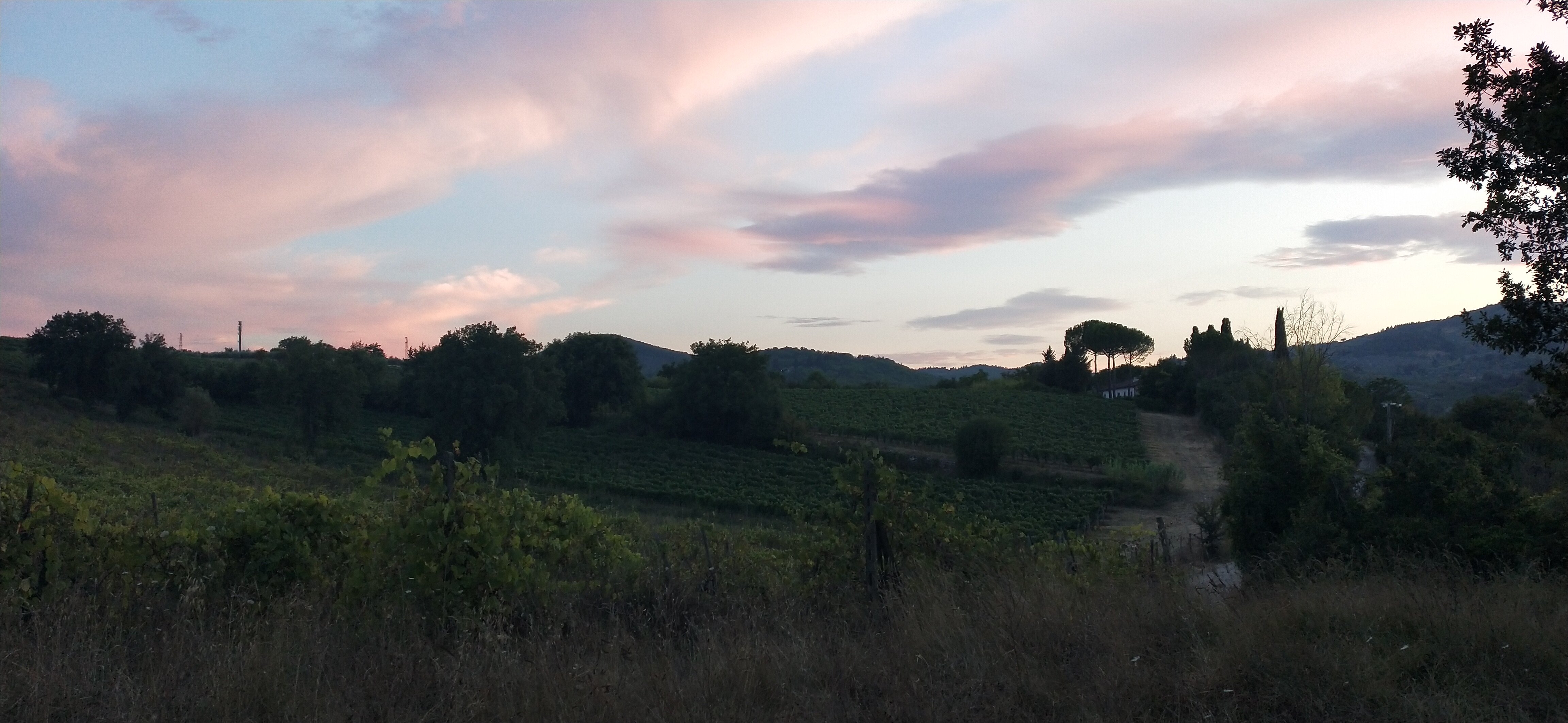 Pian del Gallo-官方