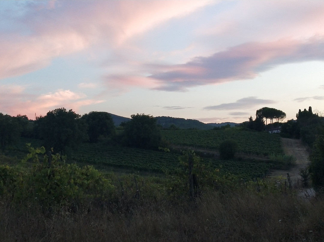 Pian del Gallo主图