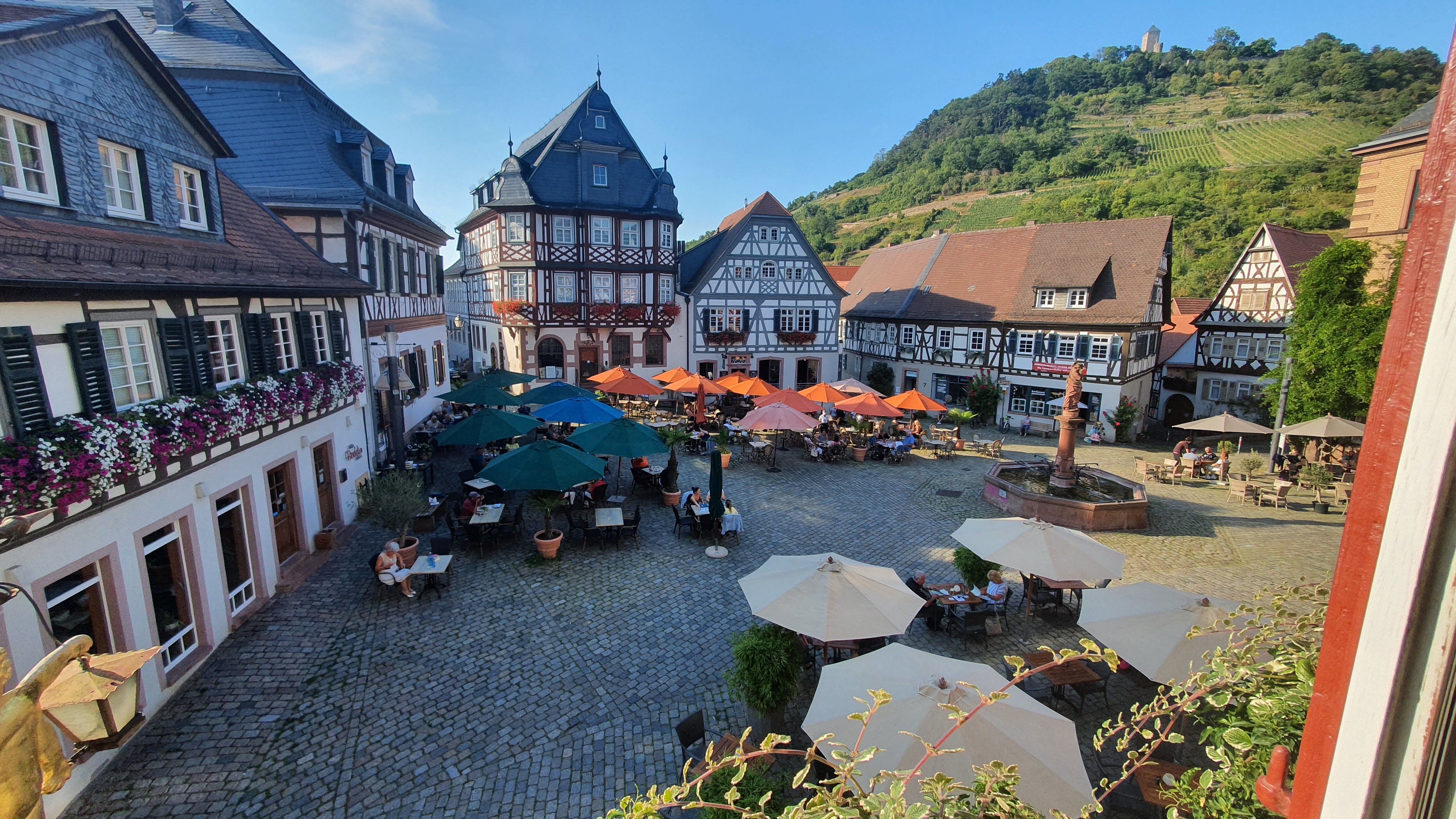 Hotel-Restaurant Goldener Engel-酒店景观
