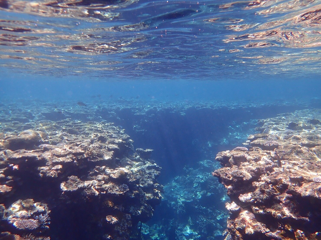 Ishigaki-jima Blue Cave景点图片