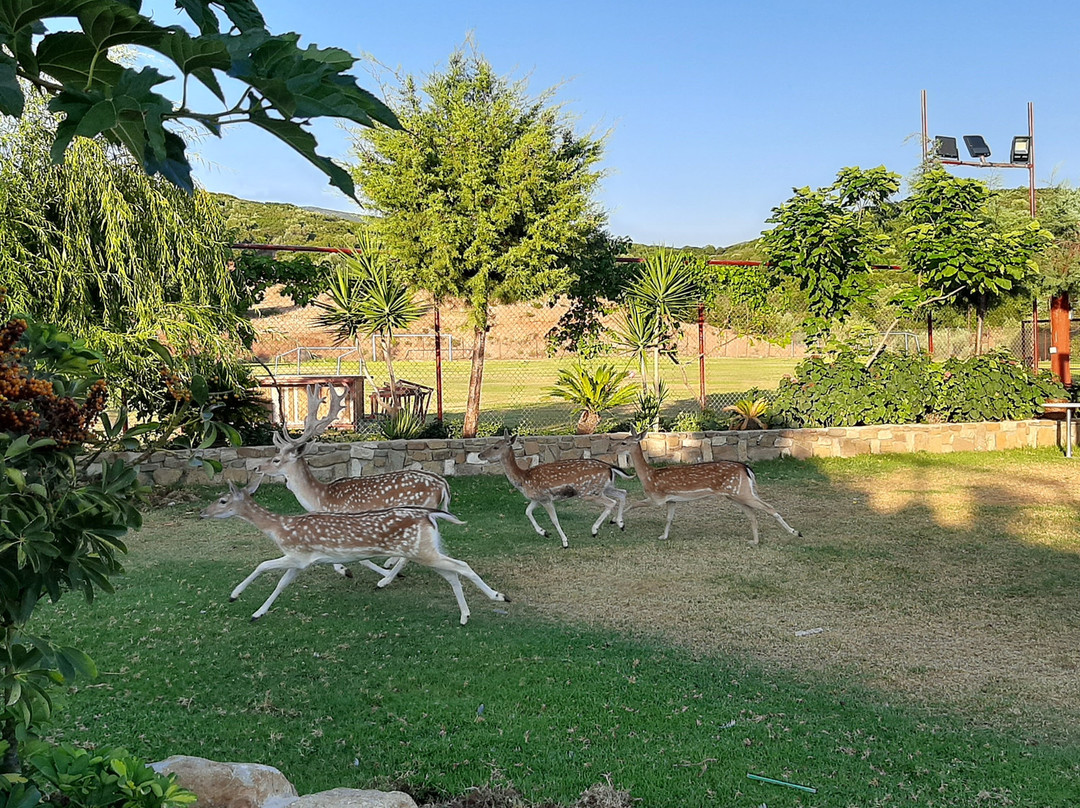 Ktima Gourdoupi-Chalandritsa必去景点