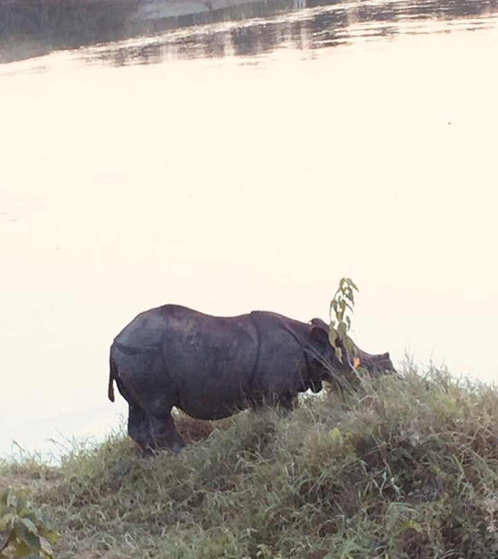 Balmiki Dham-奇旺国家公国必去景点