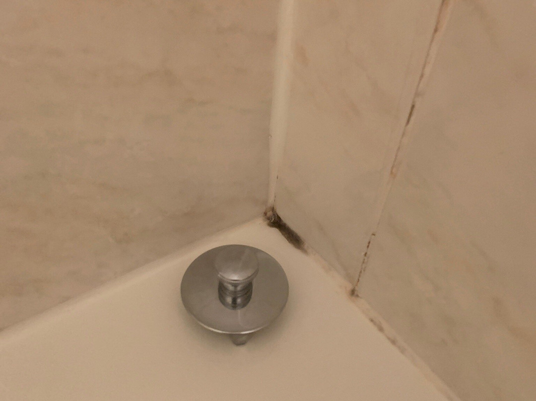 Brackley Country Inn主图