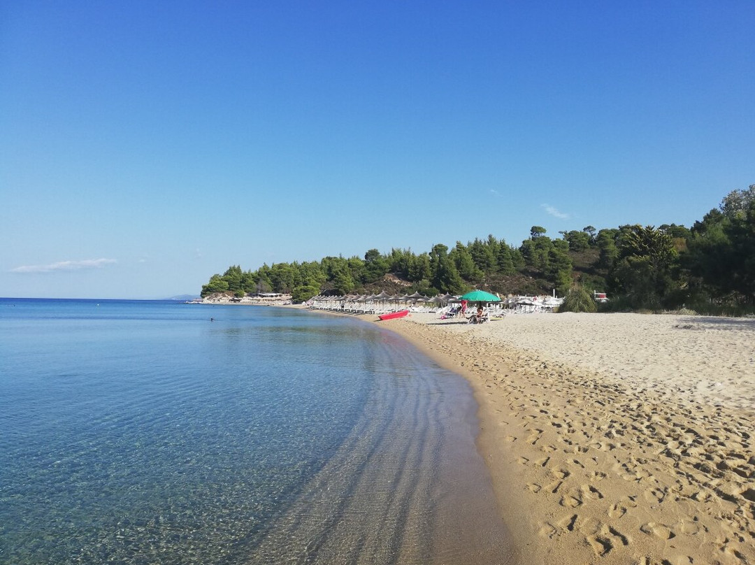 Kalogria Beach-Nikiti必去景点