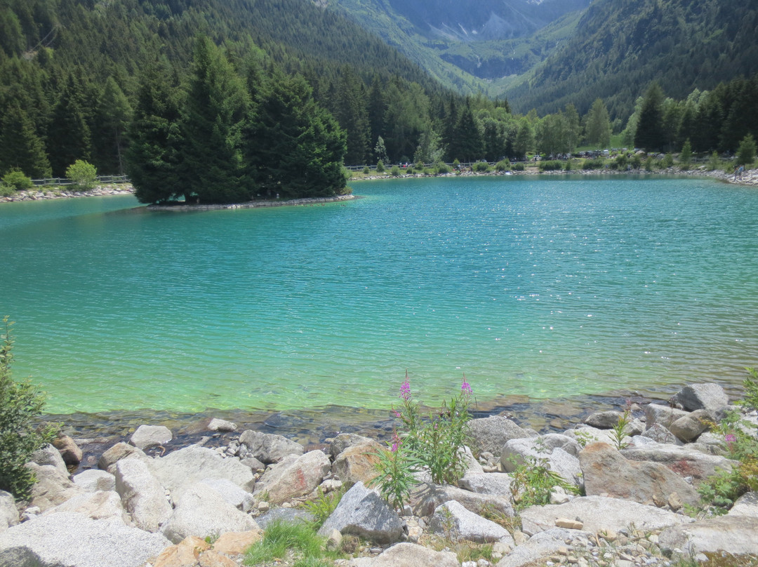 Garni la Genziana主图