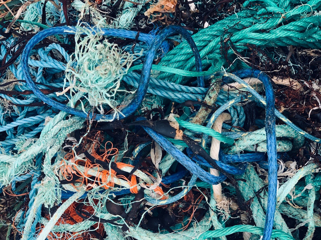 Manoir de Kergrec'h主图