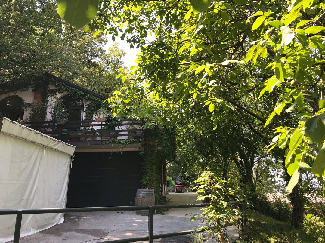 Cascina Belmonte景点图片
