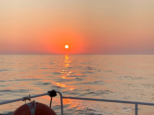 Pula Dolphin-普拉必去景点