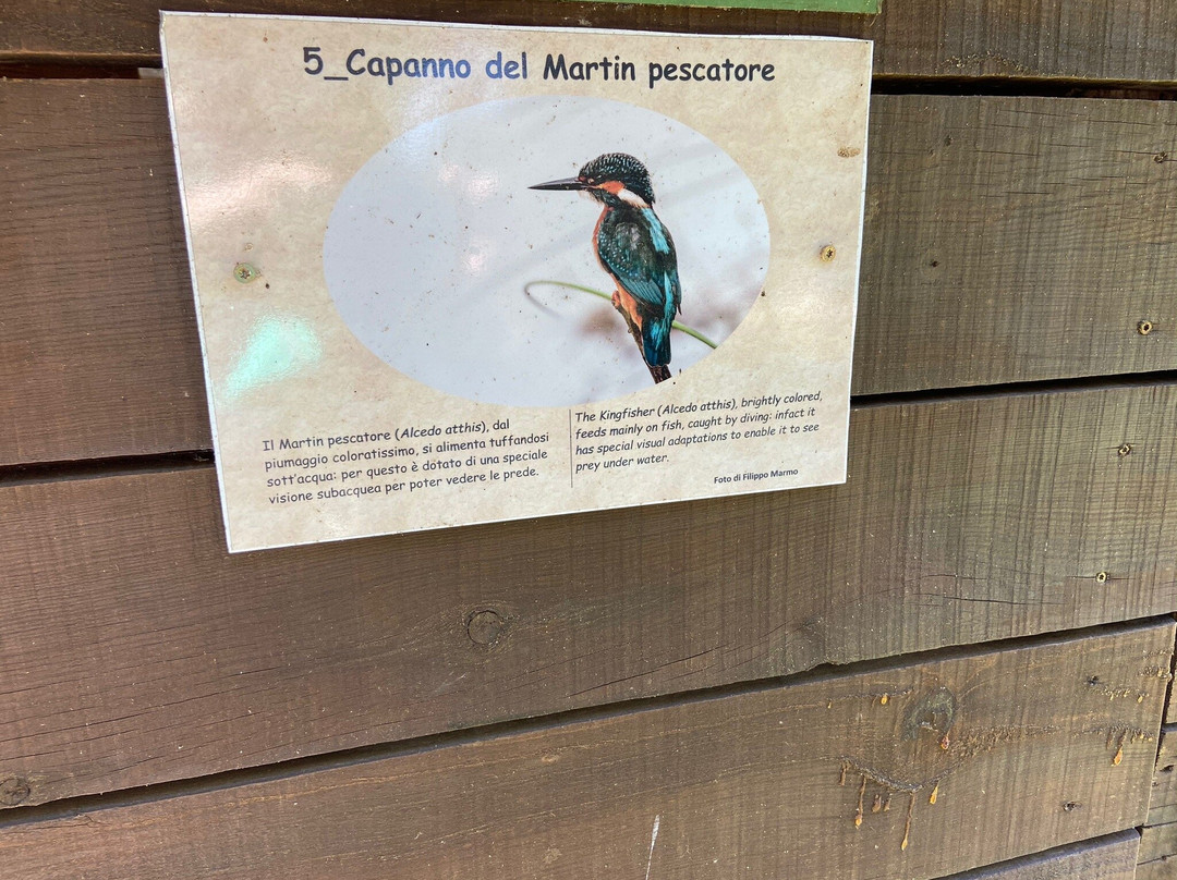 Associazione Centro Cicogne E Anatidi-Racconigi必去景点