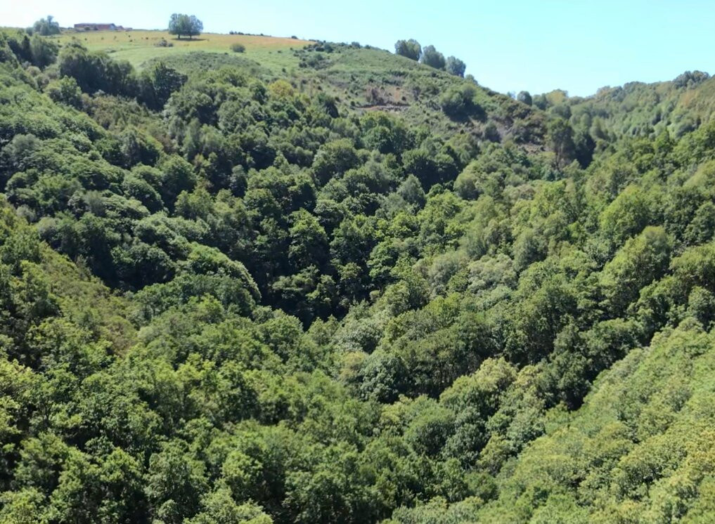 Reserva de la biosfera Oscos-Eo-Vegadeo必去景点