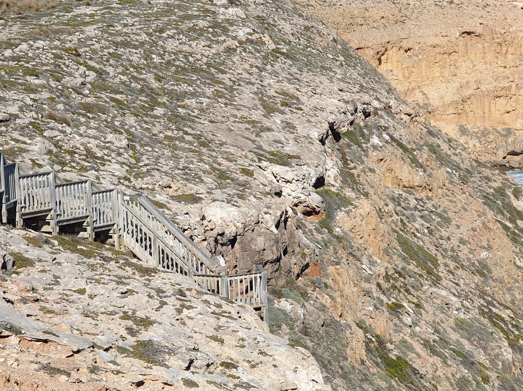 Ethel Wreck Lookout-Inneston必去景点