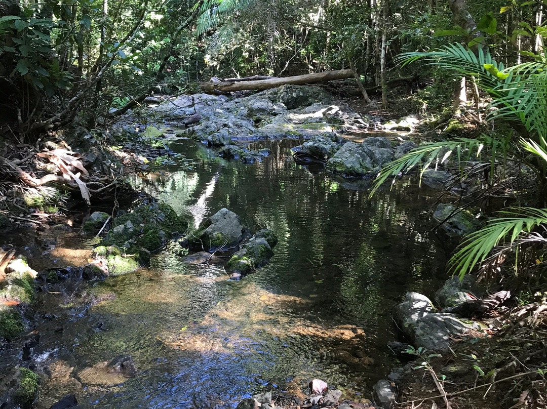 Parc des Grandes Fougères-Farino必去景点