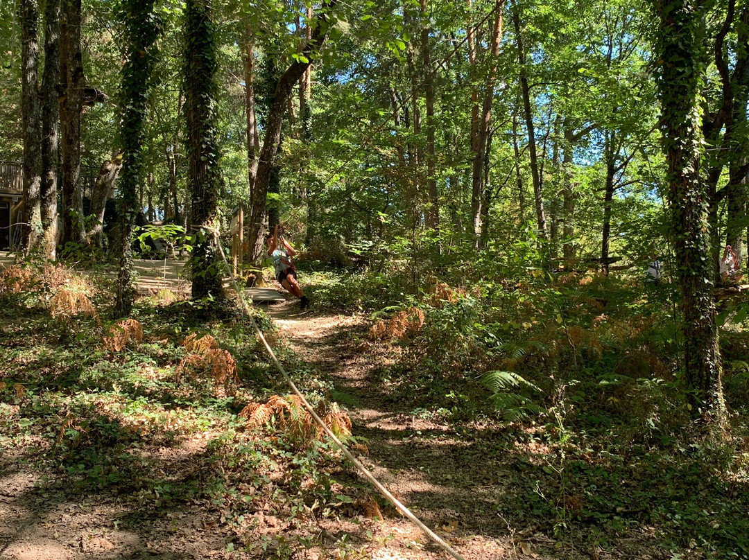 L'appel De La Forêt景点图片