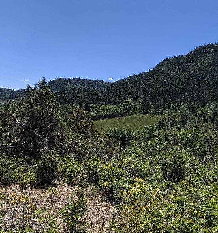 Astraddle A Saddle-帕戈萨斯普林斯必去景点